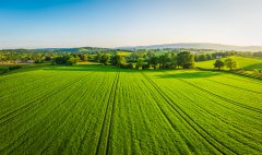 农业农村部：全国已春播粮食4.92亿亩 完成意向面积过半